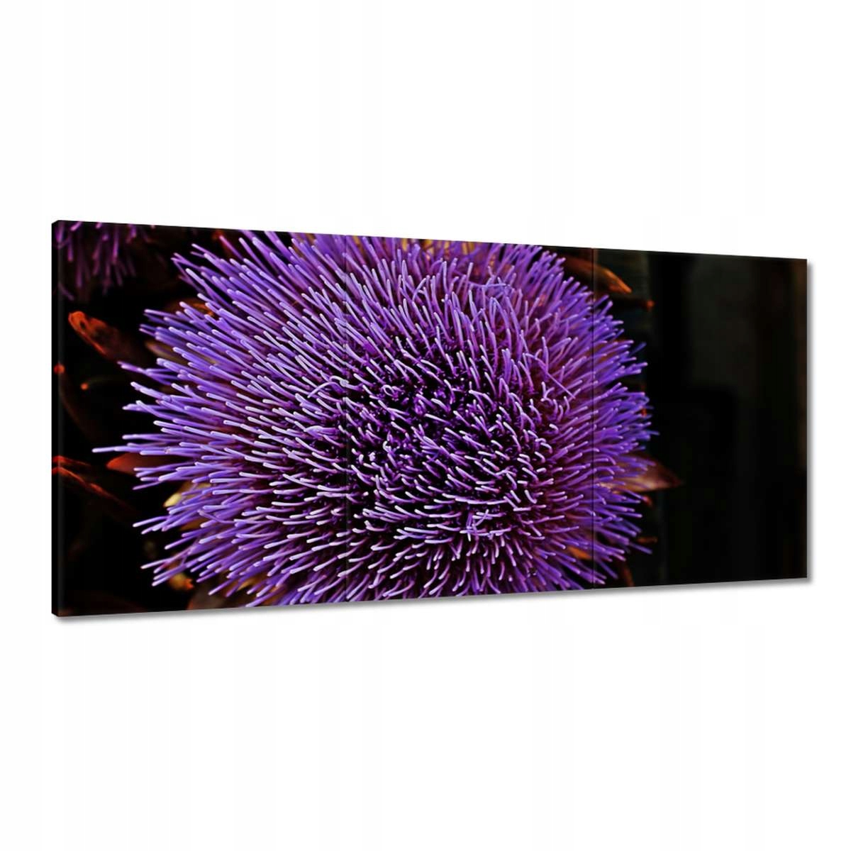 Obrazy 180x90 Kvet Fialová Čupiradlo