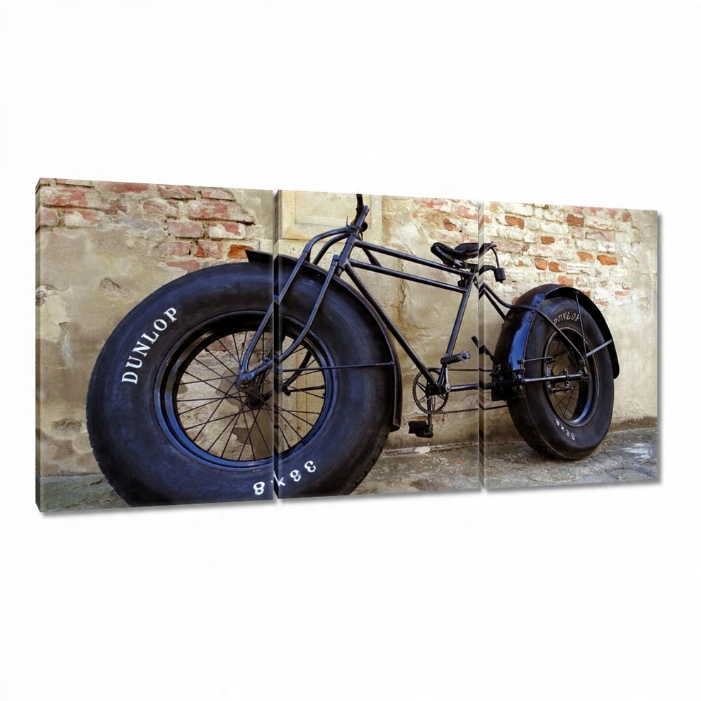 

Obrazy 120x60 Hipsterski rower