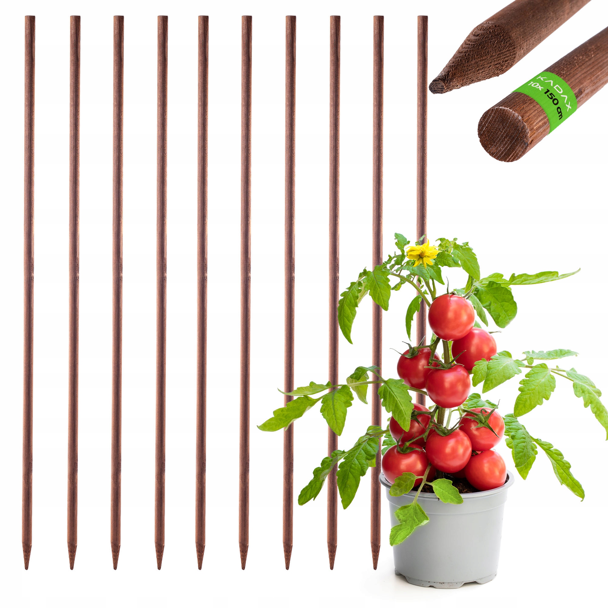 Dřevěné Palíky Ostřící Impregnovaný 150 cm Podpora Rostlin Tyč 10 Ks