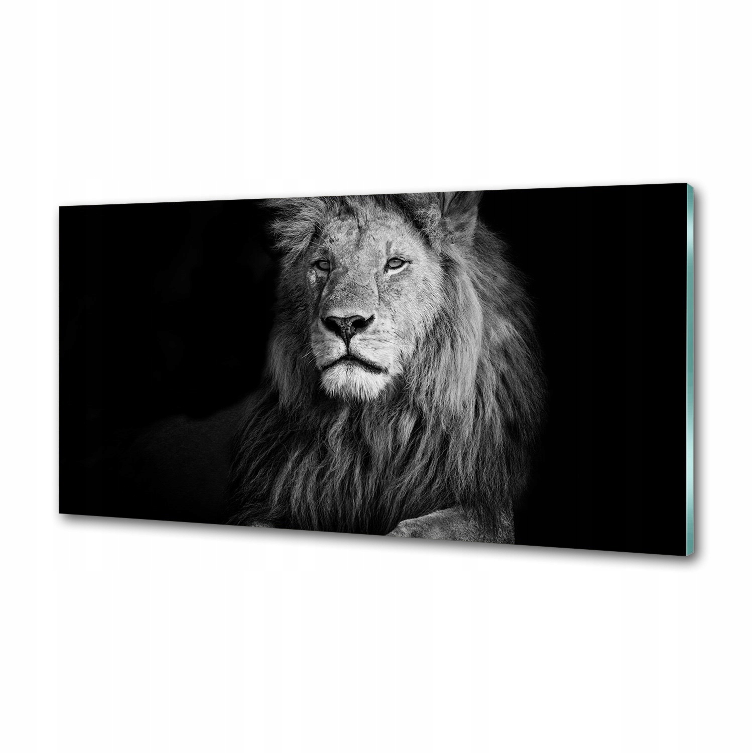 Panel tvrdené sklo do kuchyne Lev 100x50 Lepidlo
