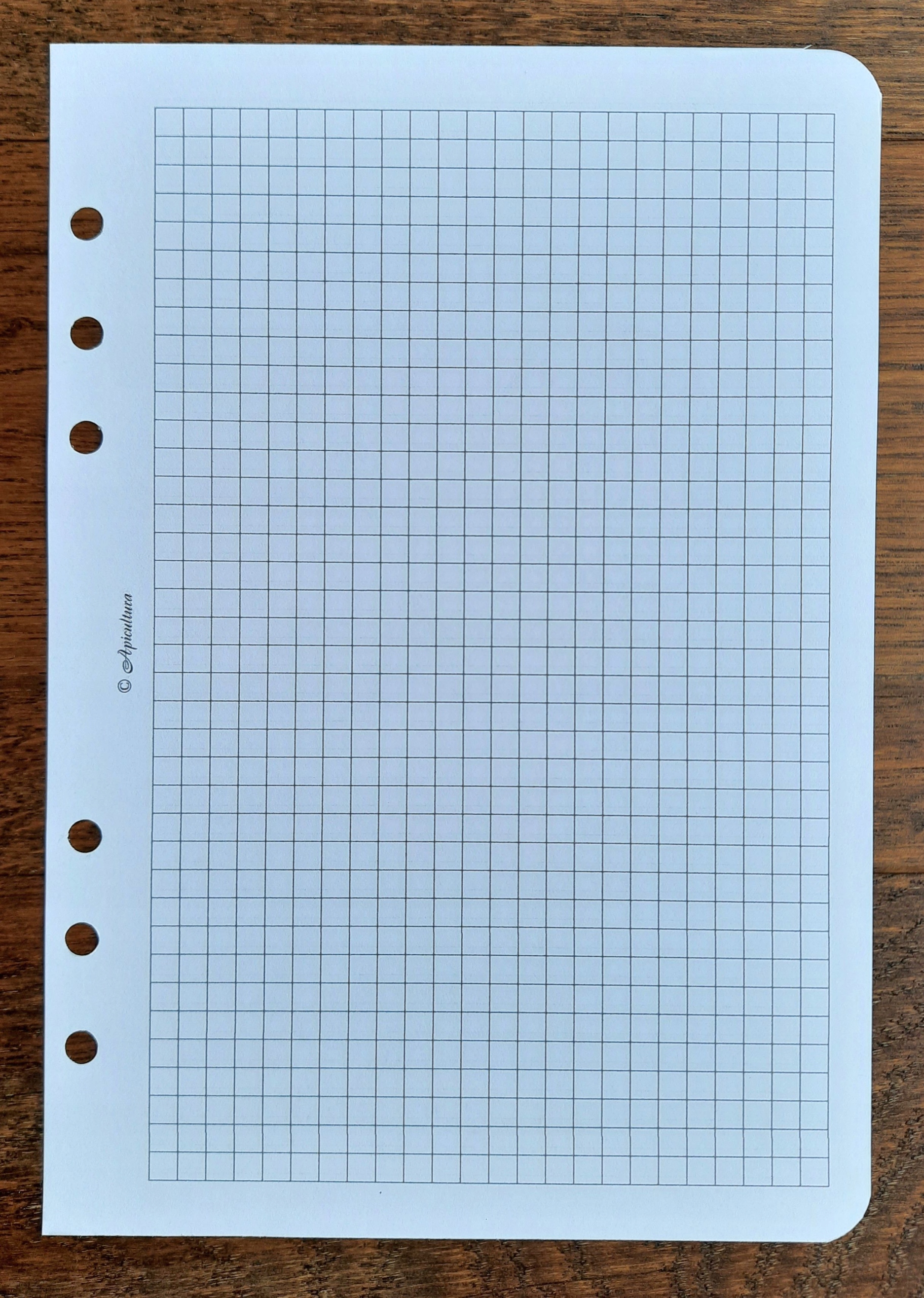 Wkład segregatora notesu planera KRATKA A5 14,8x21