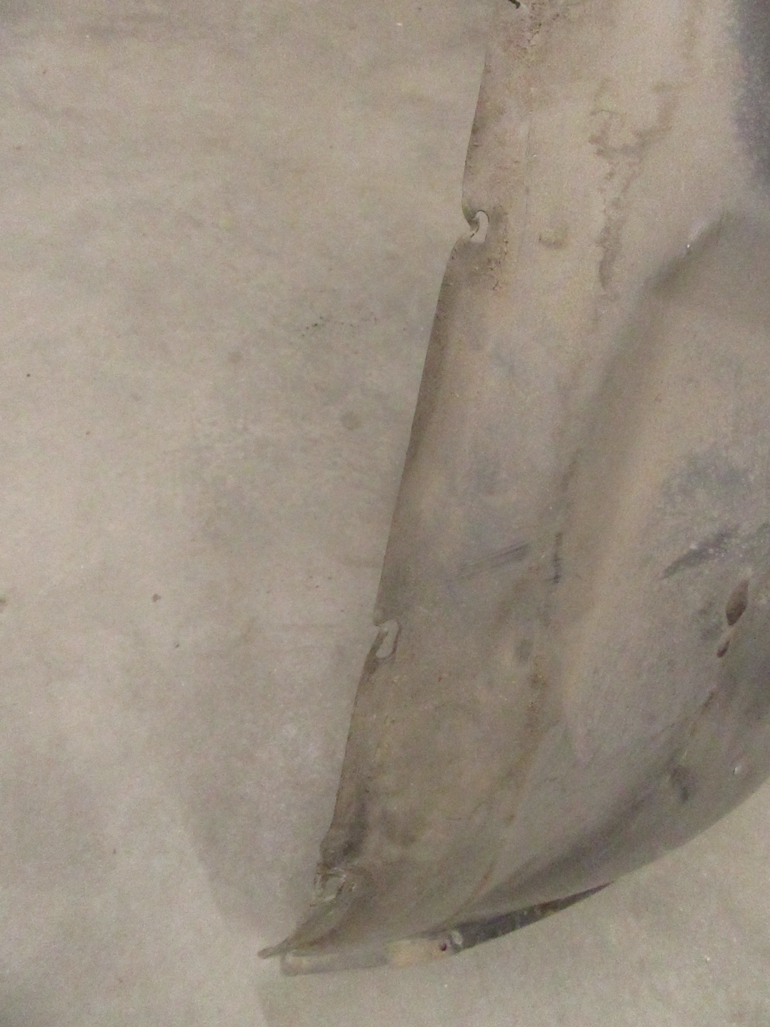 mudguard left left front cover wheels BMW e53 X5