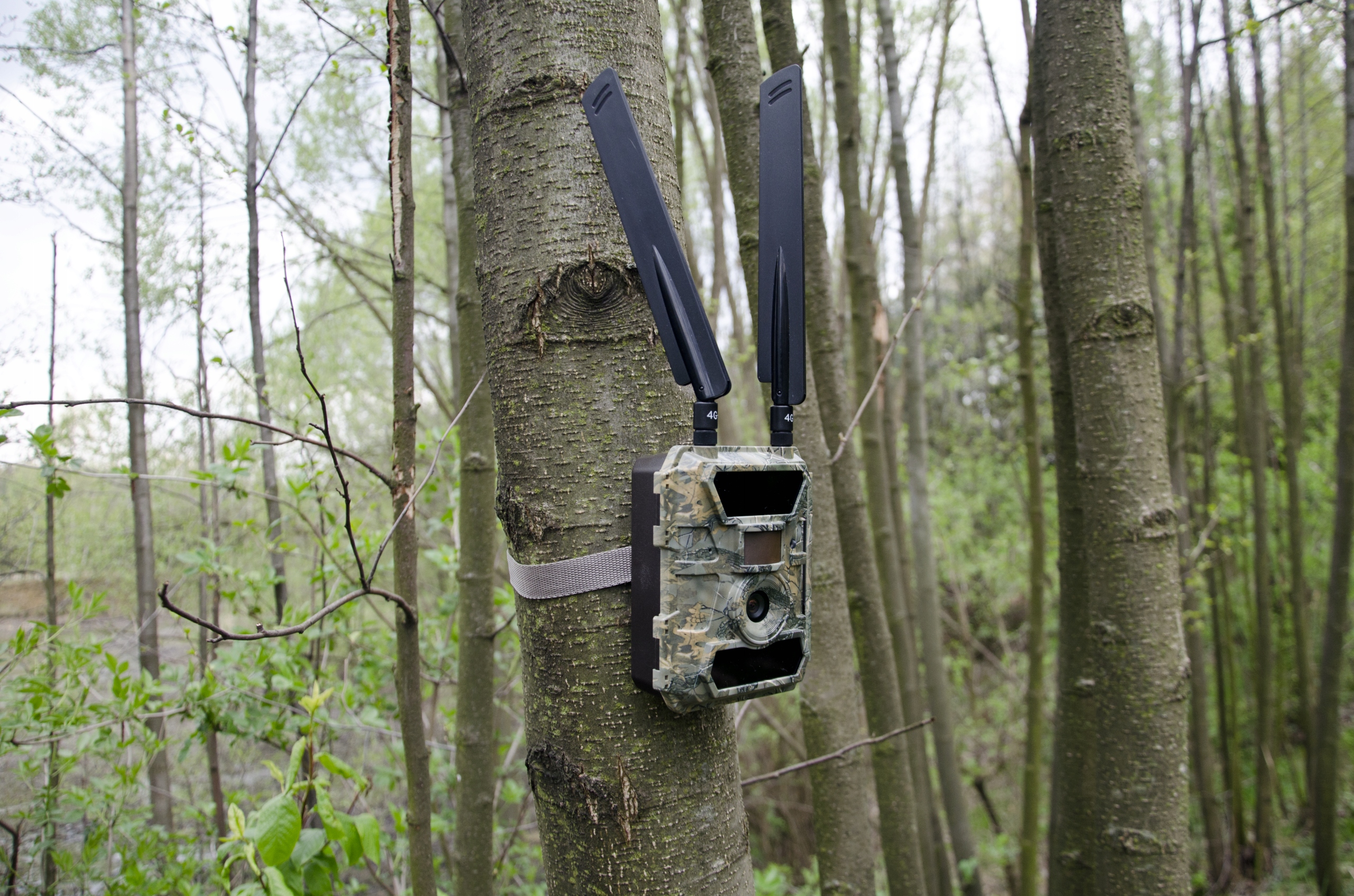 Kamera Leśna FOTOPUŁAPKA Myśliwska FHD GSM 4G LTE MMS wysyła FILMY Menu PL Zasięg widoczności w nocy 25 m