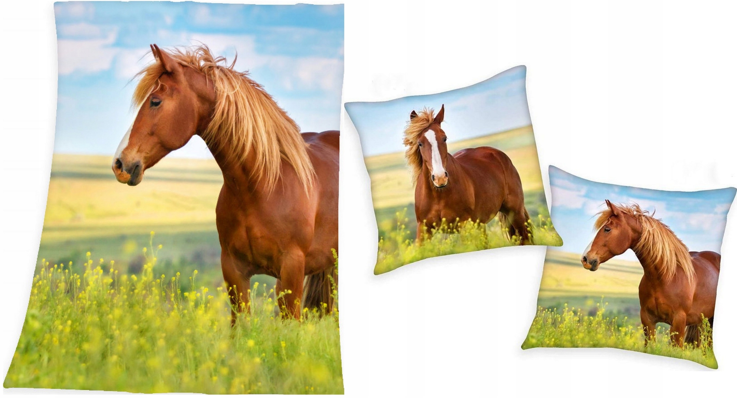 

Koc i Poduszka Koń Konie Konik Pony Do przedszkola