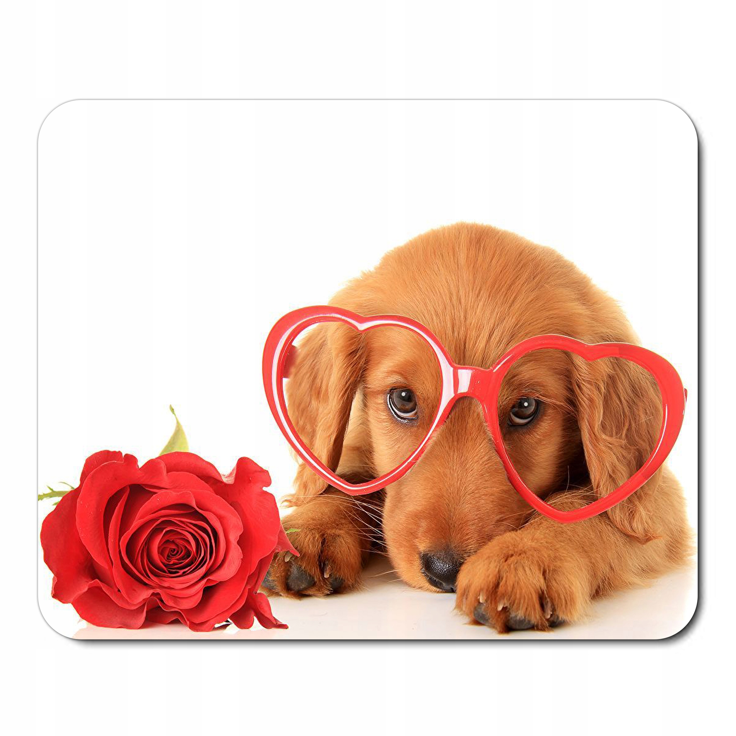 

Podkładka Pod Mysz Myszkę Z Psem Psy Pieski