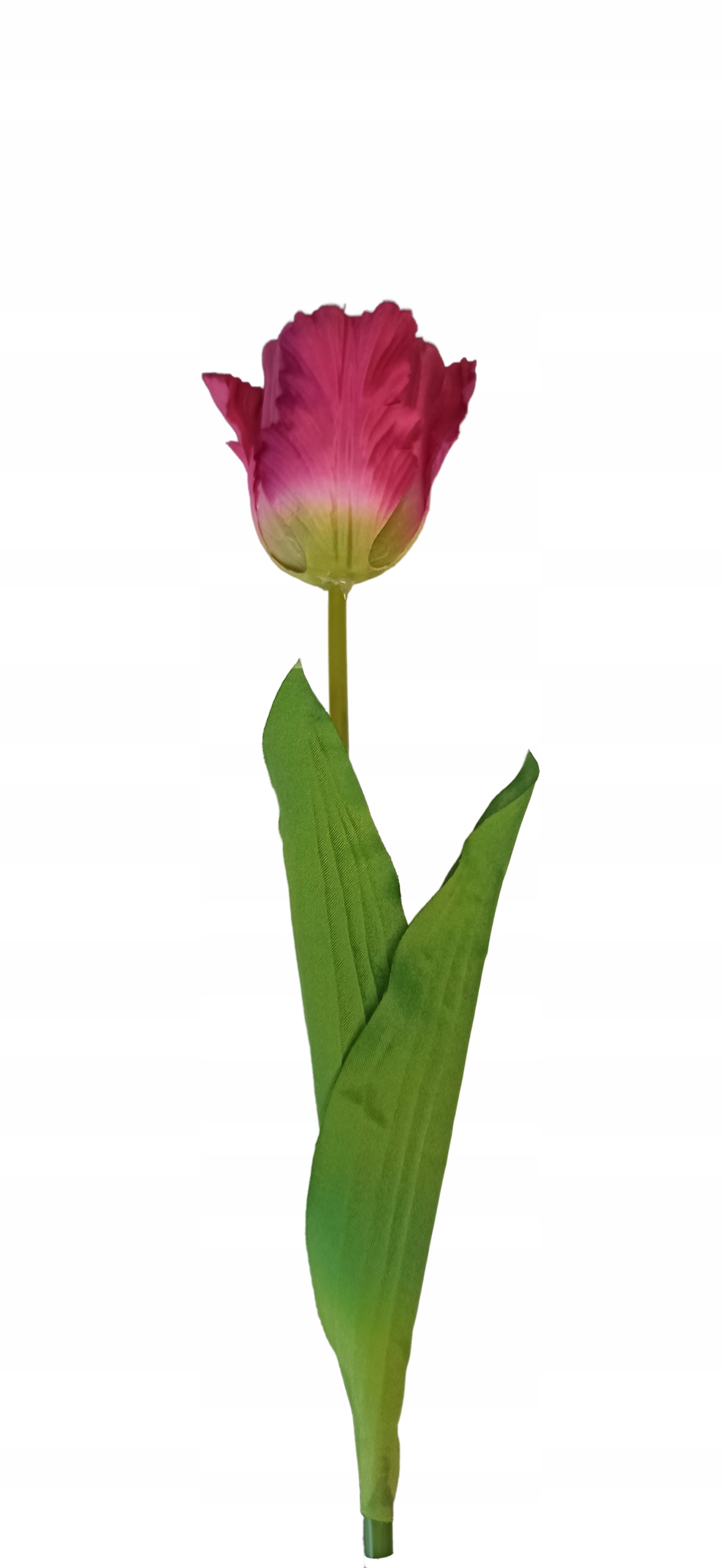 

Pojedyncza gałązka tulipan 60cm różowy