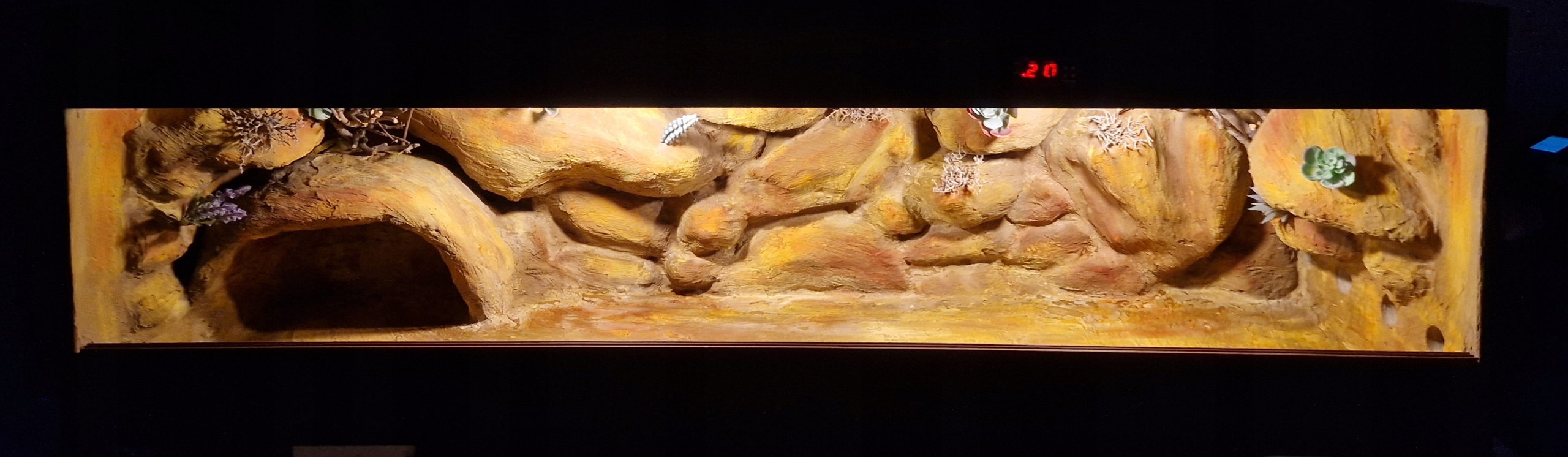 Pouštní Terárium Pro Želvu Stepní Řecký Lamparci Pozemní 120x40x40