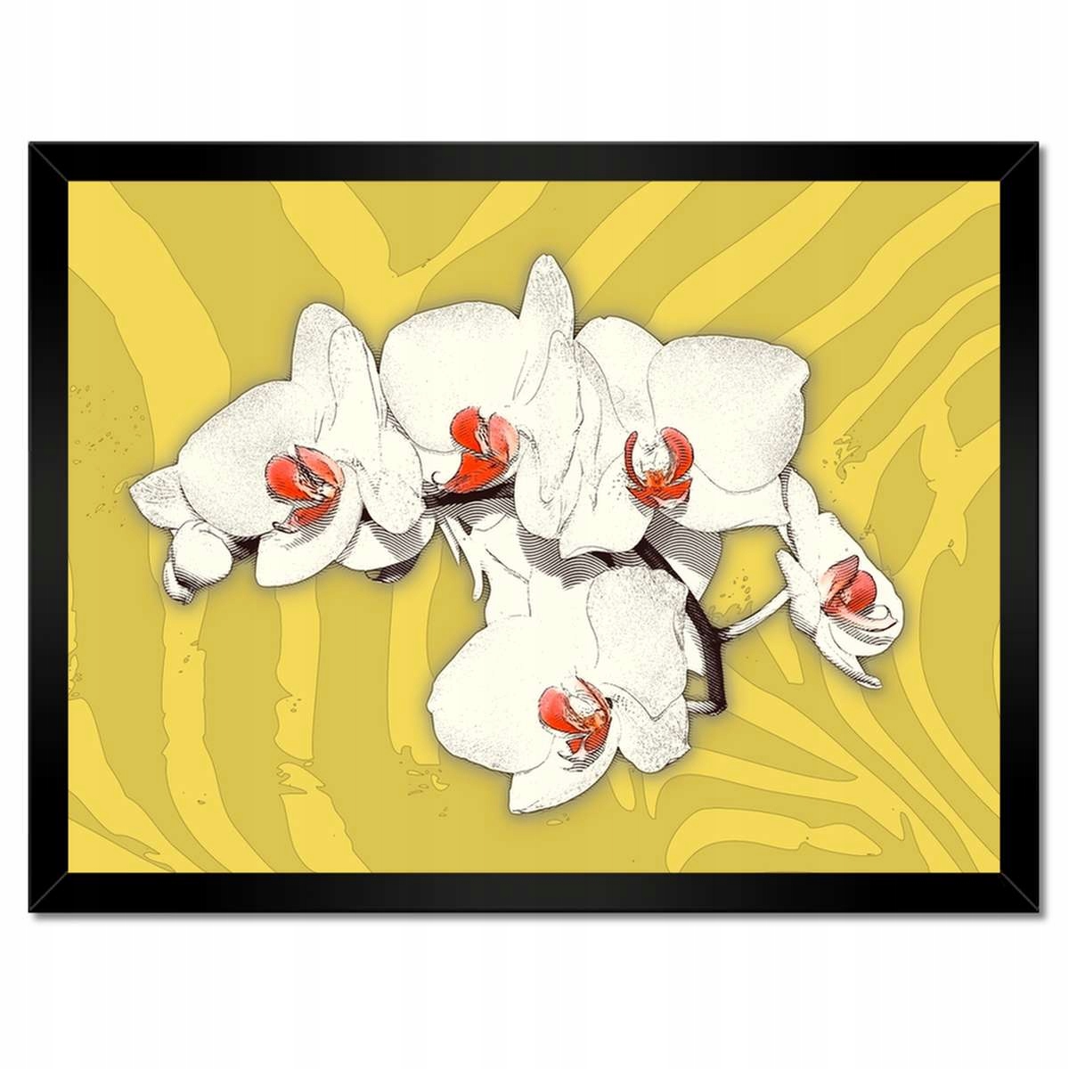 Plakáty v rámu 40x30 Orchideje Květiny na žlutém pozadí