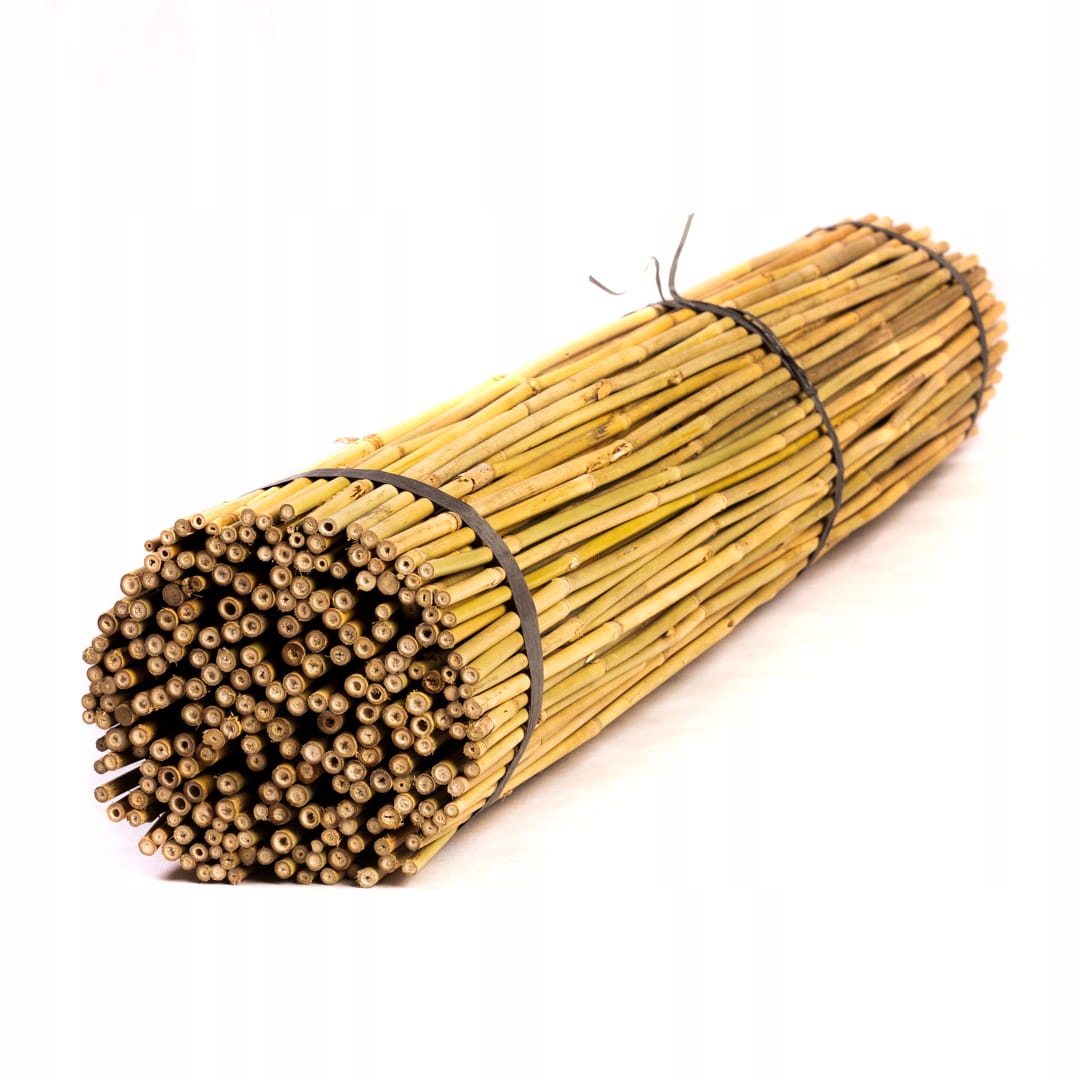 Tyczki bambusowe 120cm 8/10mm 500 sztuk