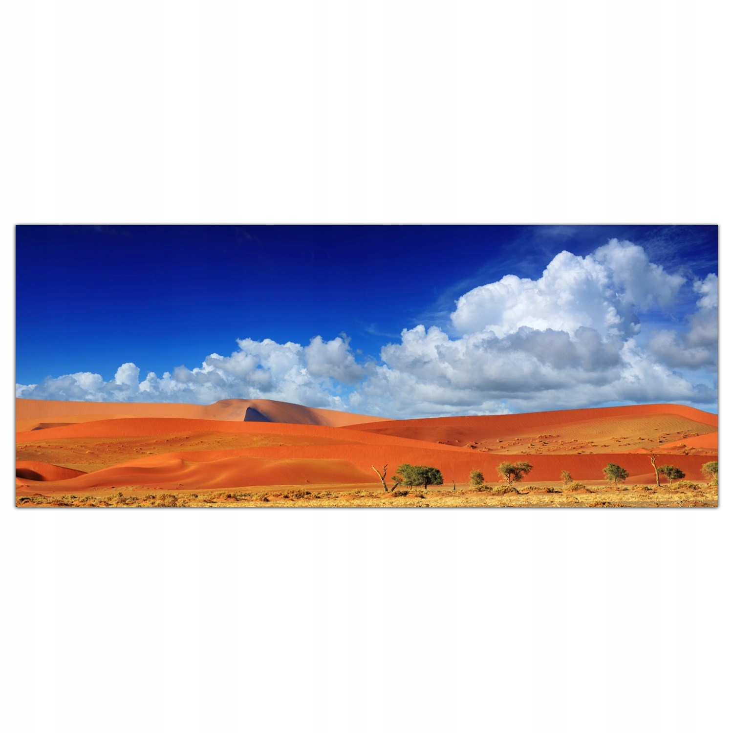 

Obraz na szkle Foto Afryka Pustynia Wydmy 125x50