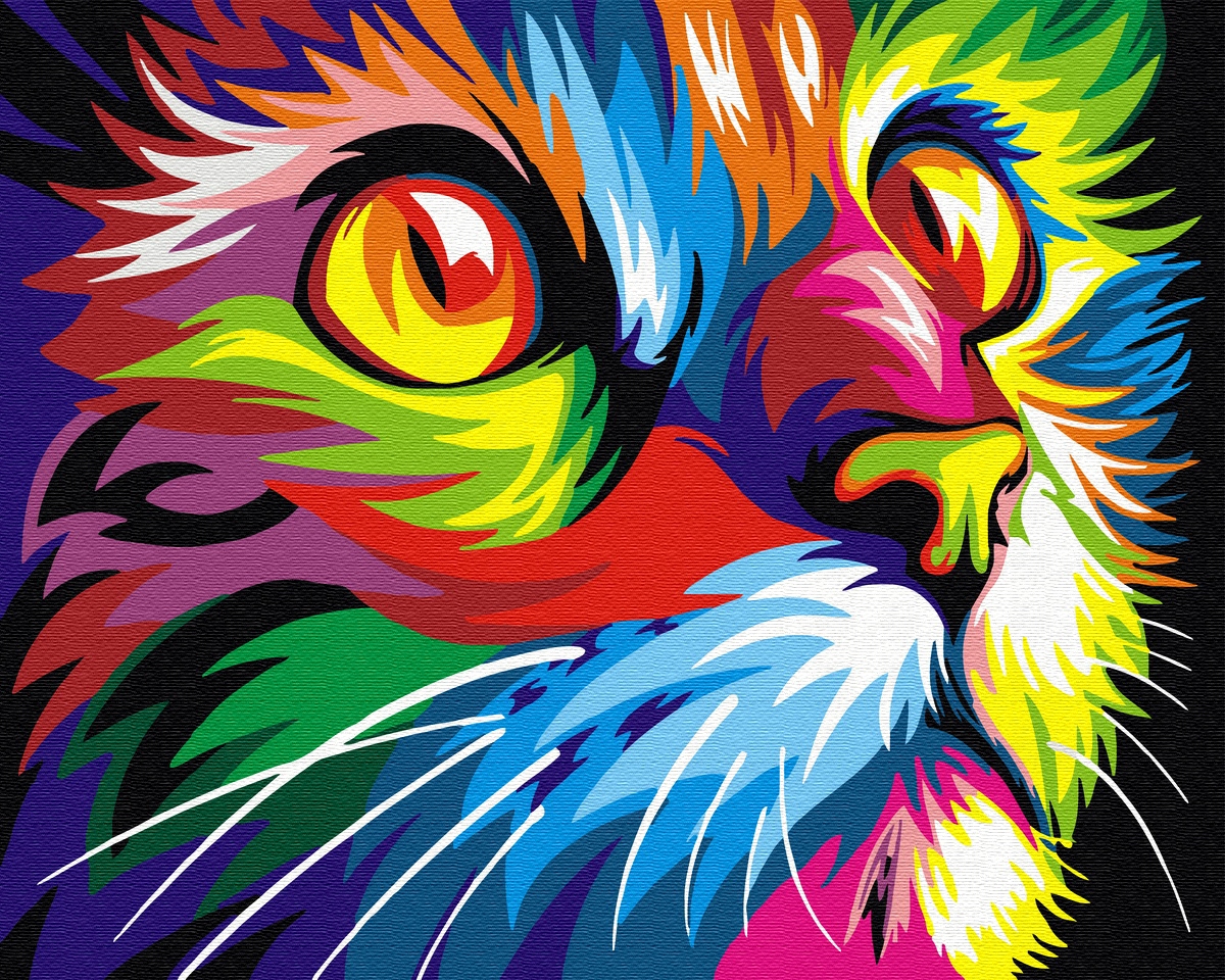 Malování podle čísel Duhová kočka 40x50 Plátno Barvy Štětce