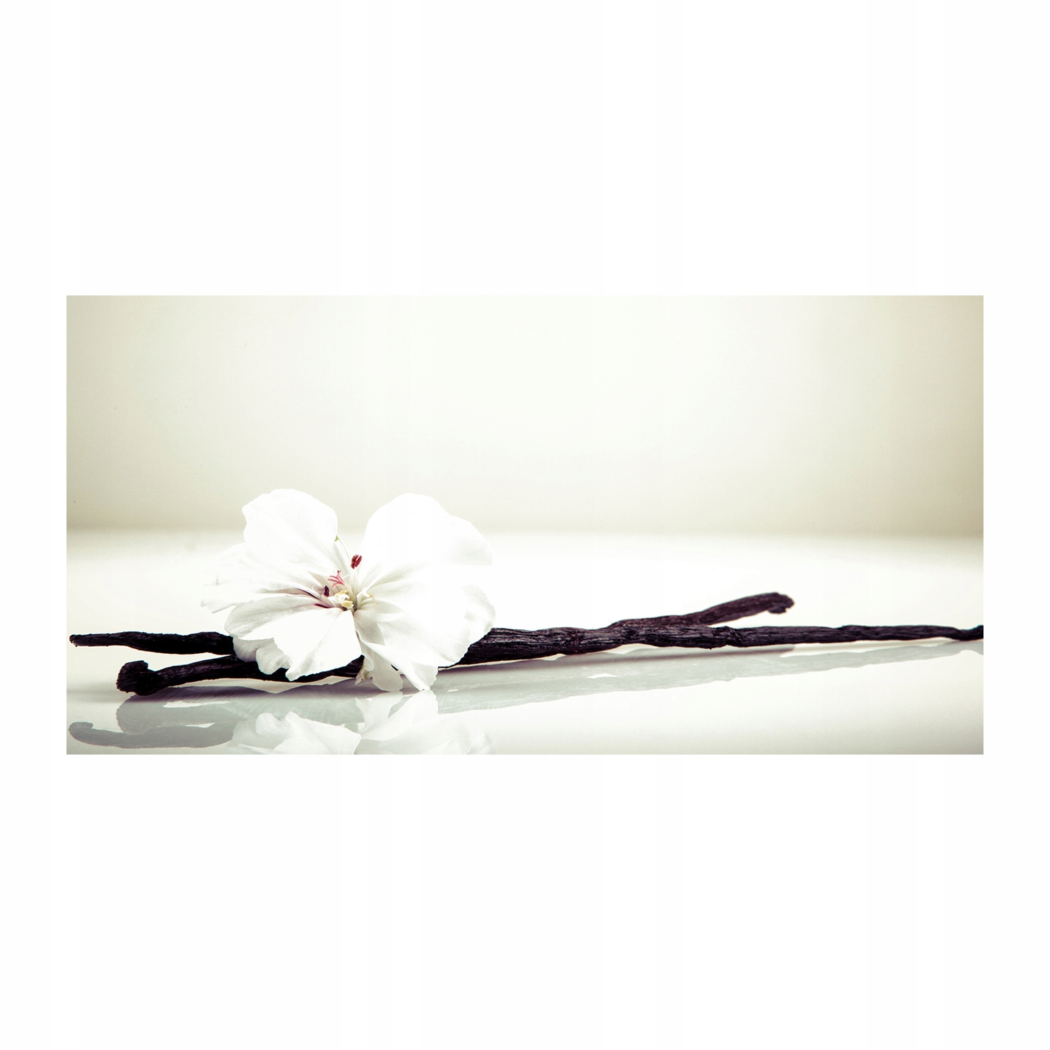 

Foto obraz akryl zdjęcie Laska wanilii 120X60 cm