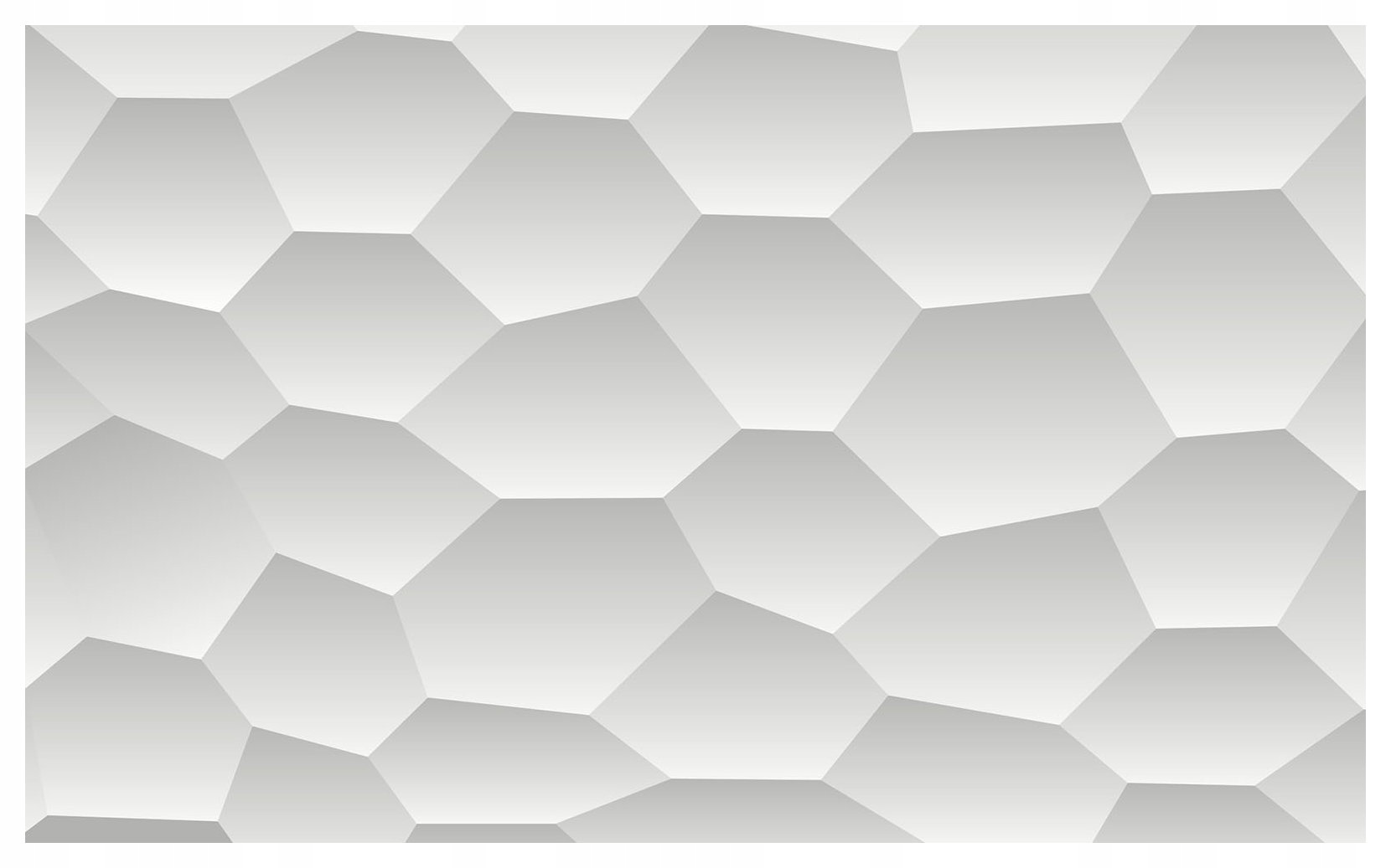 Fototapeta Šestiúhelníky Abstrakce Šedobílá vinylová 368x254 lepidlo