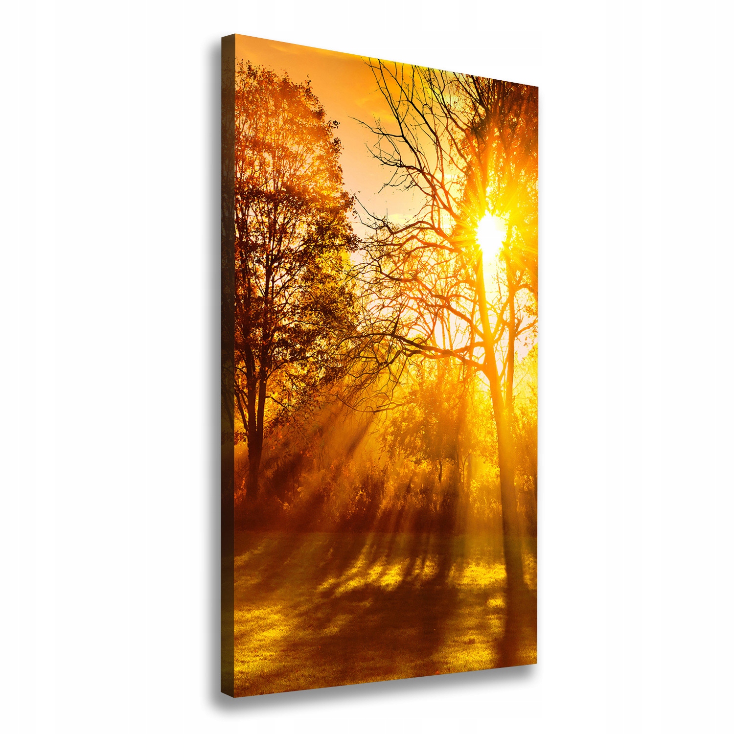

Foto obraz na płótnie Park jesienią 60x120 cm