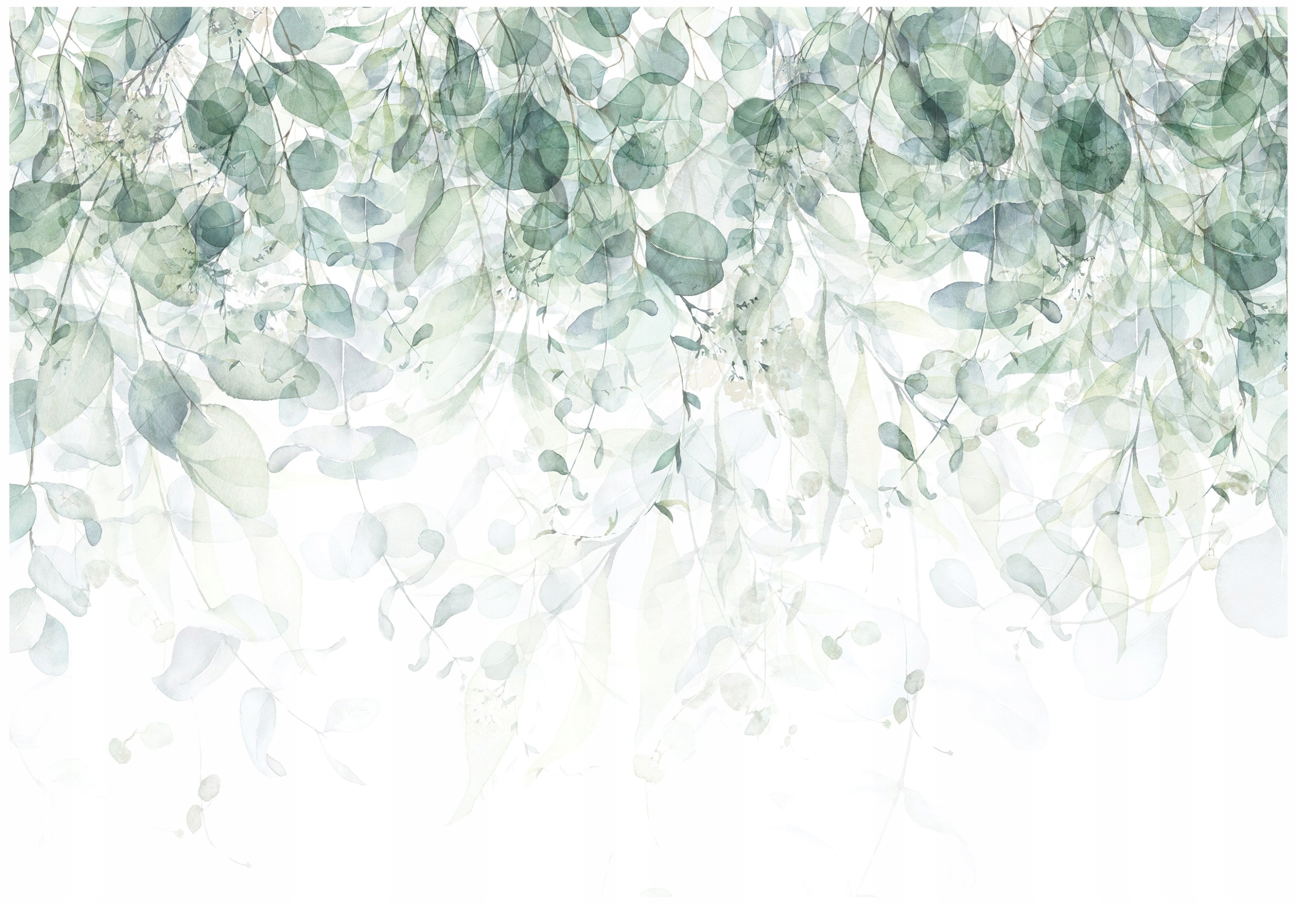 Fototapeta Zelené Listy Příroda Závěsná Do Ložnice Obývacího Pokoje Tapeta 150x105