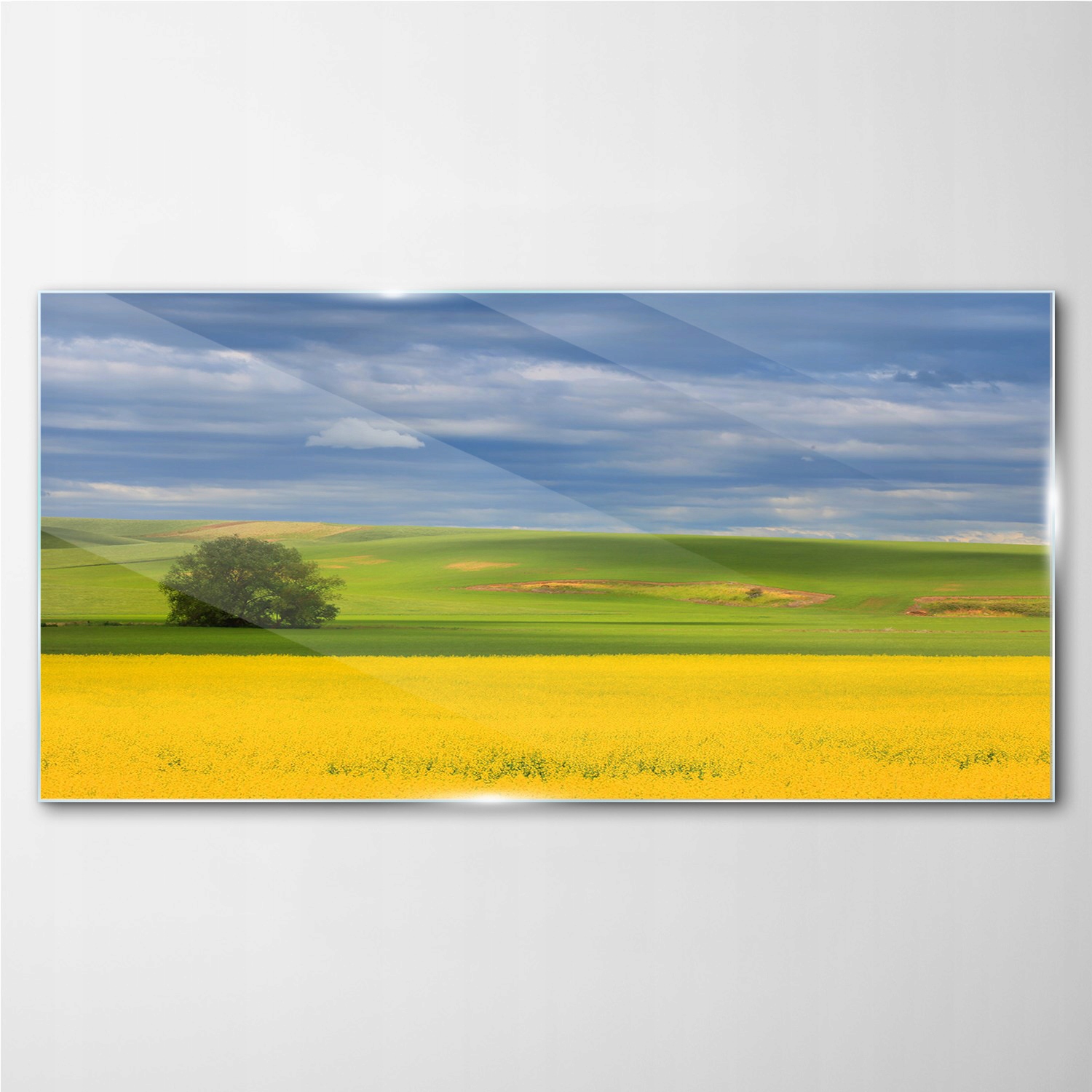 

Foto-obraz szklany Kwiaty wzgórze niebo 100x50 cm