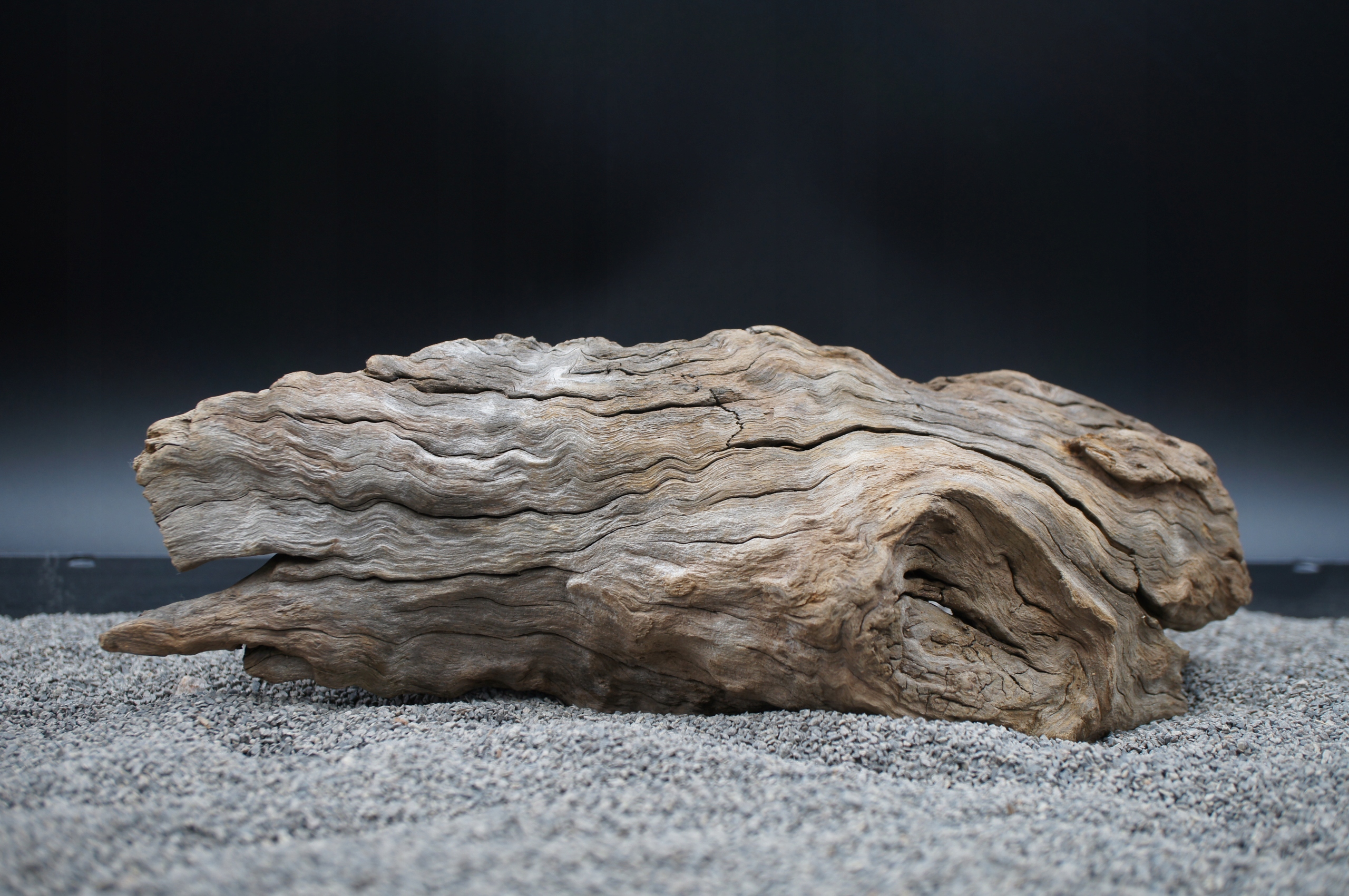 Kořen pro terarijní akvárium jagged wood 28 cm – Jako Na Obrázku (J67)