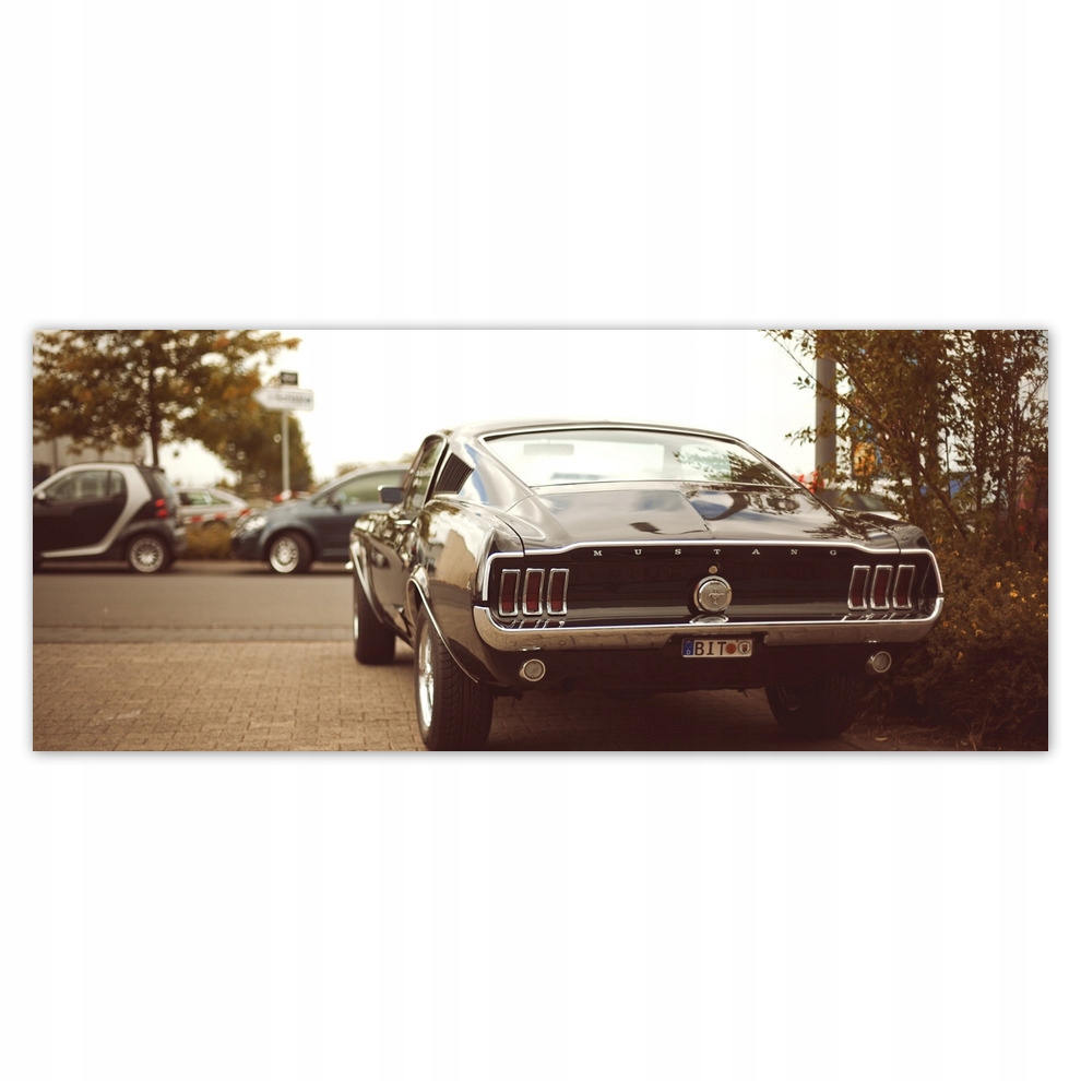 

Fototapety flizelina 250x104 Vintage Ford Mustang