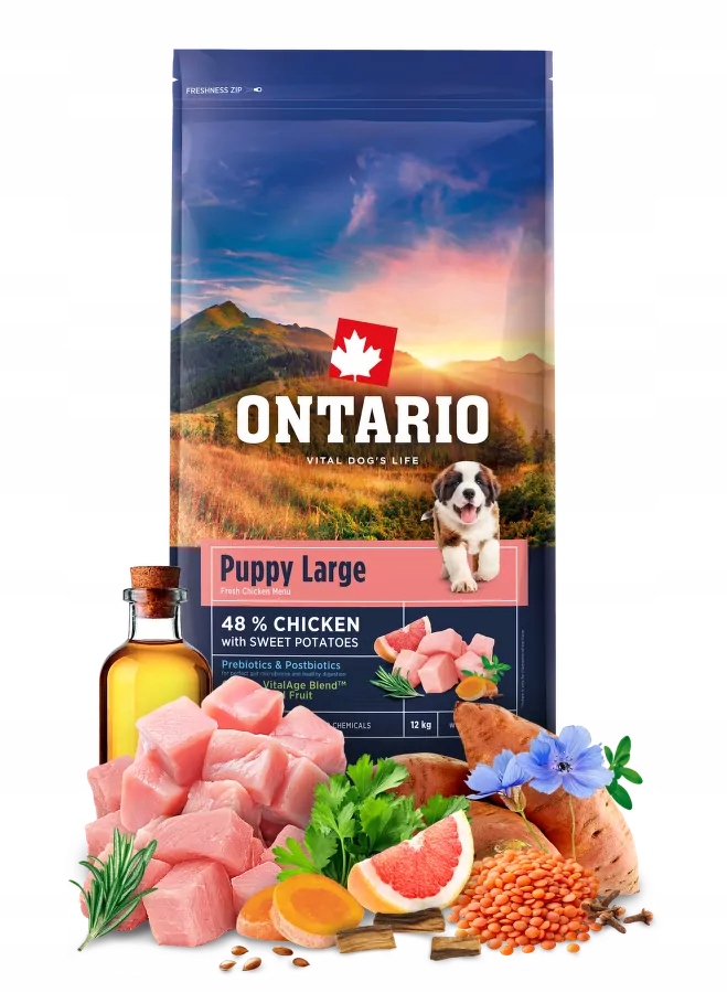 Ontario Puppy & Junior Large Sucha Karma Dla Szczeniąt I Małych Psów 12kg