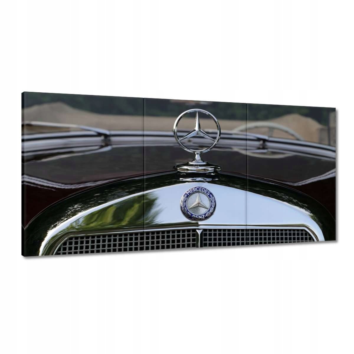 Obrazy 180x90 Známka Mercedes Benz