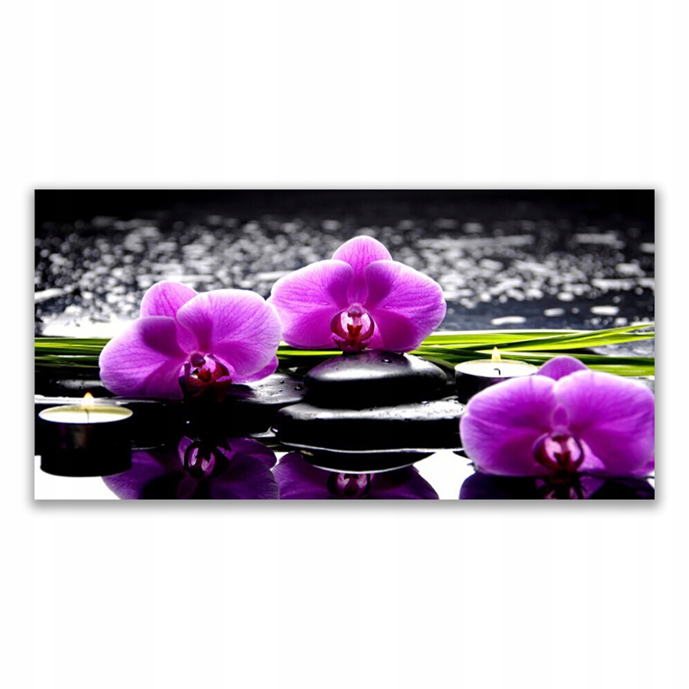 

Obraz akryl wiszący 140x70 Kwiat Orchidea Roślina