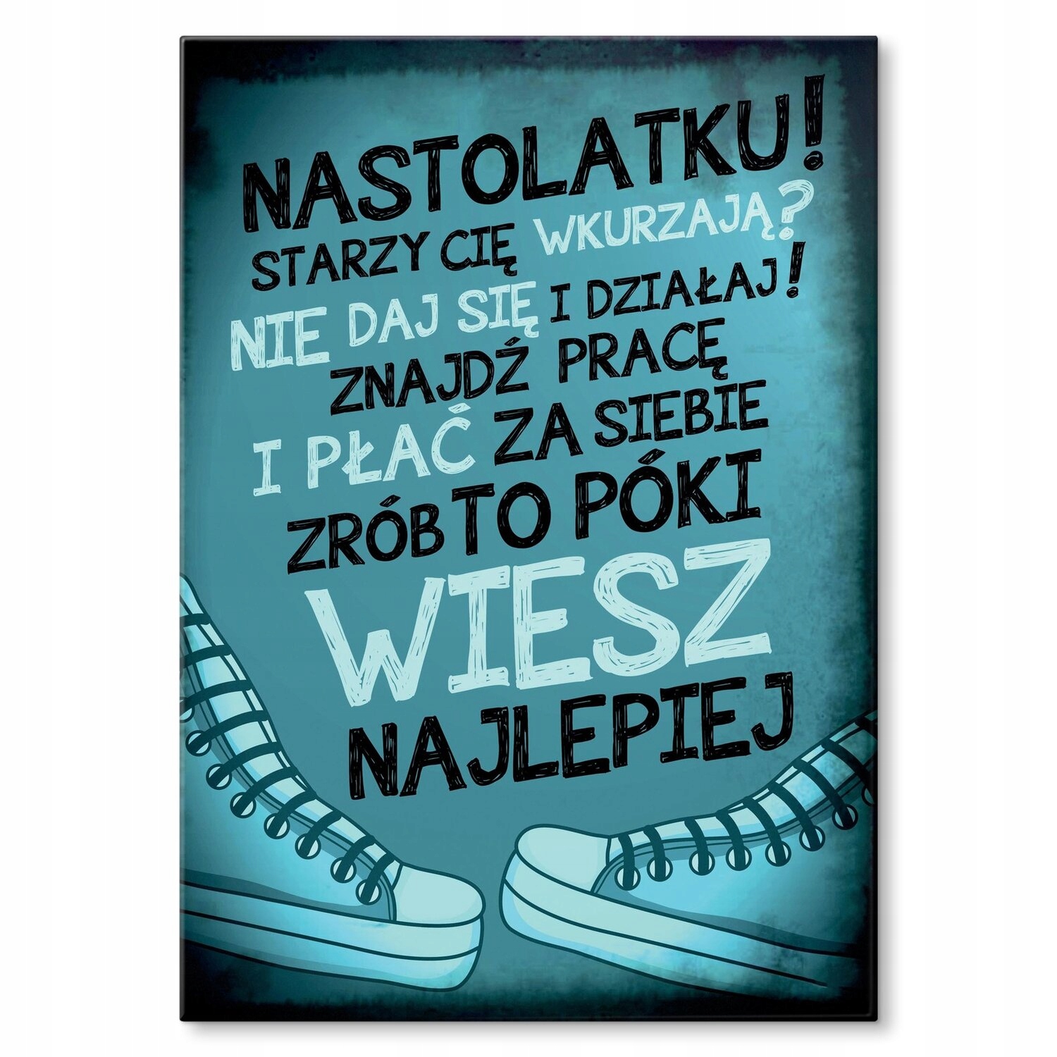 Kovový plakát Víš lépe teenagerovi Dárek 42 x 59 cm