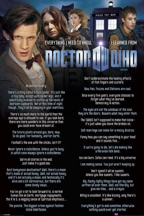 

Doctor Who Everything I Know Plakat 61x91,5 cm
