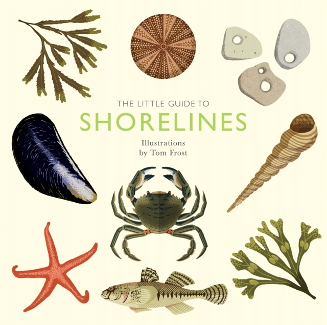 The Little Guide to Shorelines ALISON DAVIES
