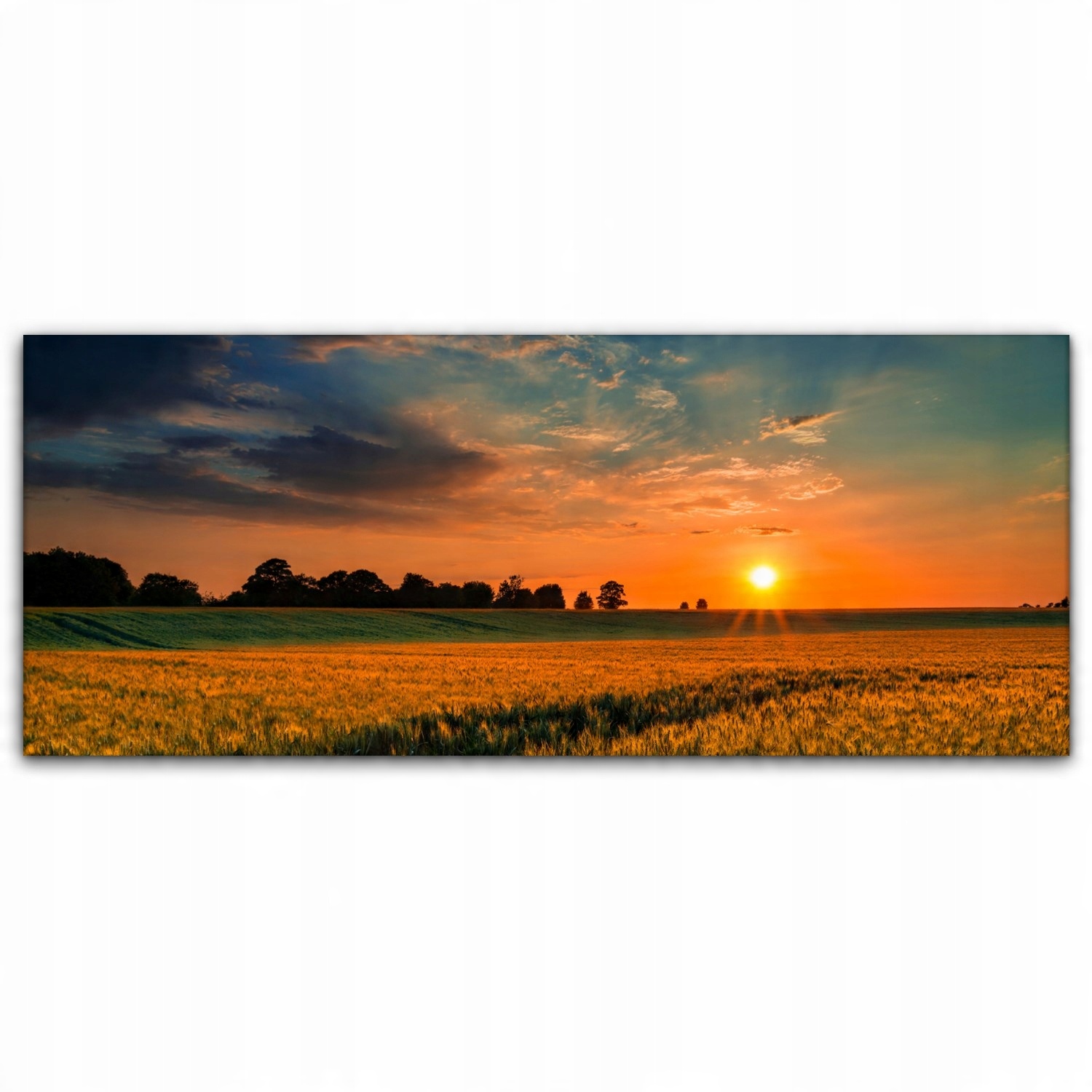 

foto-obraz na płótnie 125x50 Pole Pszenicy Słońce
