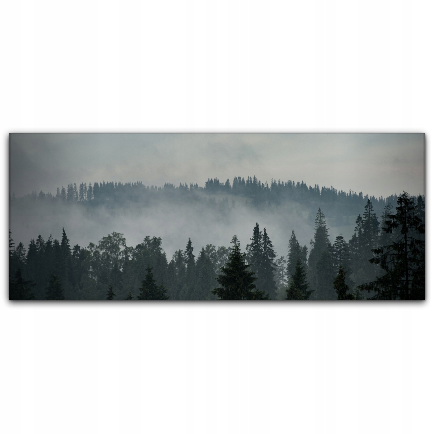 

Nowoczesny Canvas 125x50 Góry Las Mgła Krajobraz