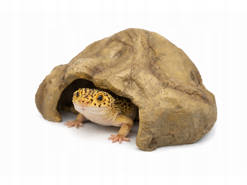 Levně Repto Deco Cave M – úkryt pro plazy