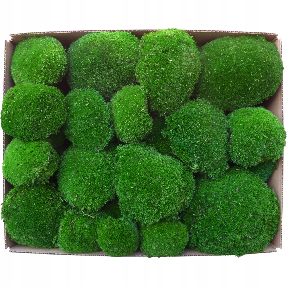 

Mech Kulisty Premium Ciemnozielony Karton 300g