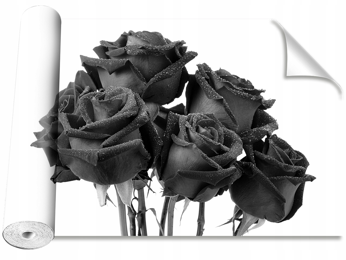 

Tapeta Samoprzylepna Czarne róże 312x219