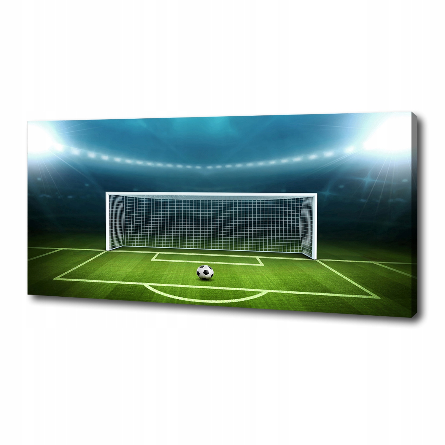 

Foto obraz canvas na ścianę Stadion 125x50 cm