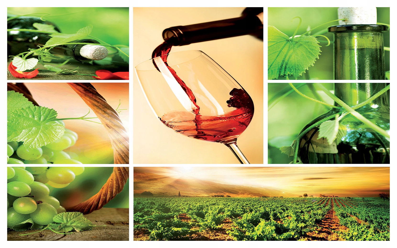 Fototapeta Hrozno víno západ slnka vinylová 208x146 lepidlo