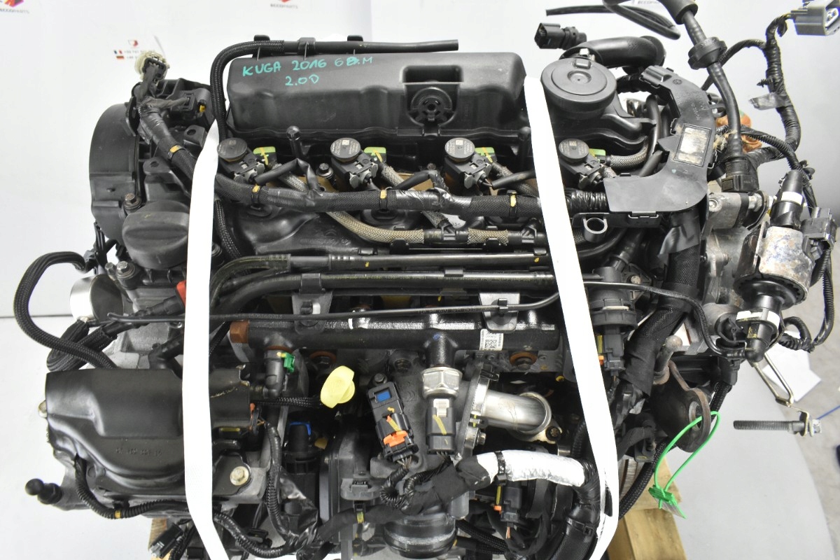 SILNIK T7MA 2.0TDCI FORD KUGA MK2 MONDEO MK5 GALAXY MK4 FOCUS MK3 Typ silnika Diesel