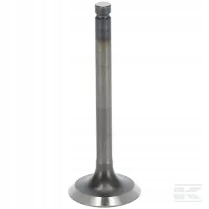 Zawór wydechowy 1142013122