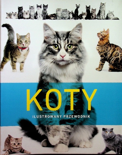 Koty Ilustrowany przewodnik