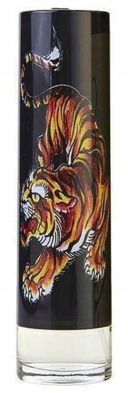 Christian Audigier Ed Hardy Men´s Edt 100 ml Sprej
