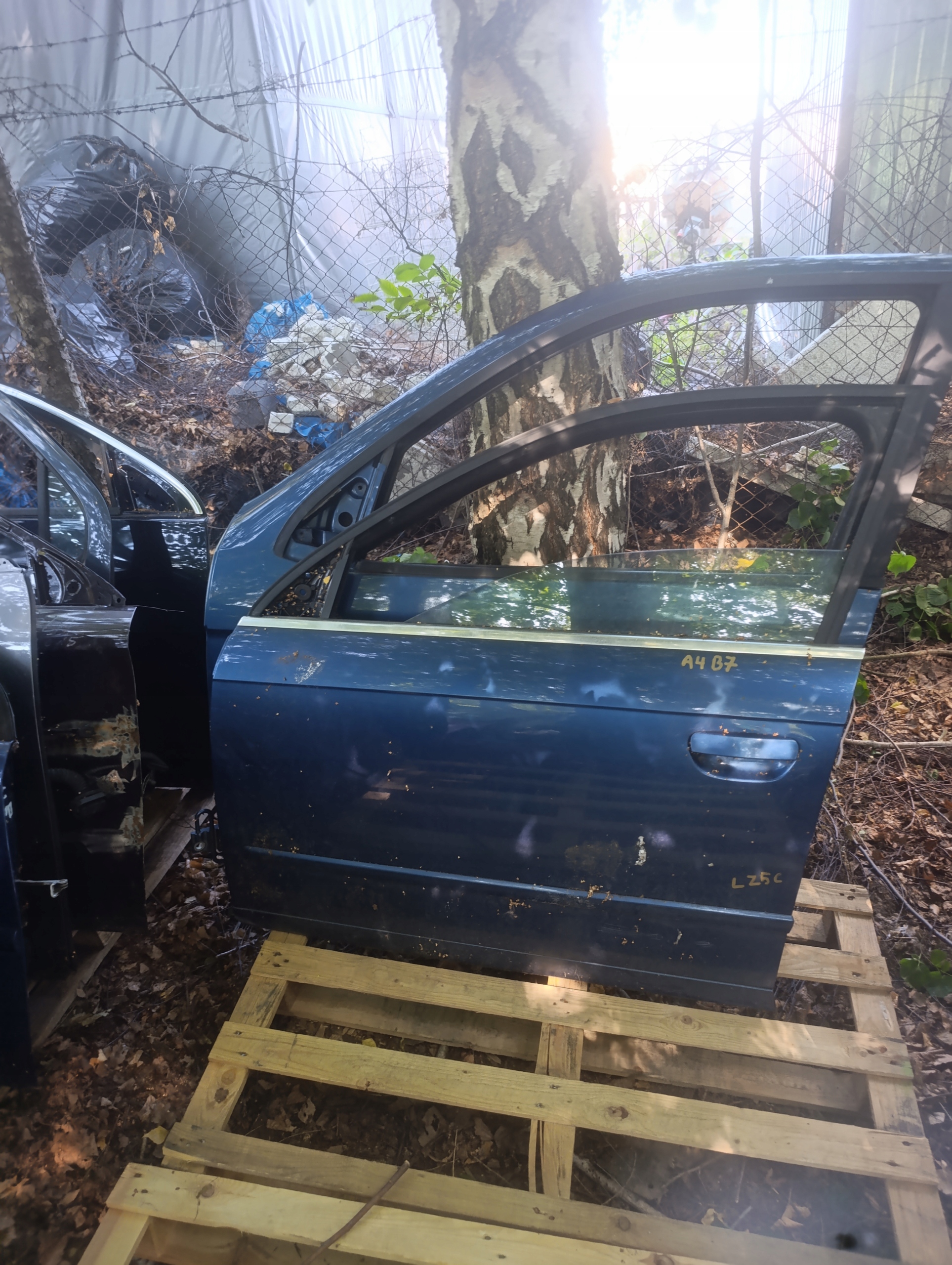 BMW E53 X5 colour 364 door left left front