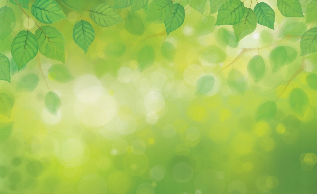 

Tapeta flizelinowa Zielone liście 416x254