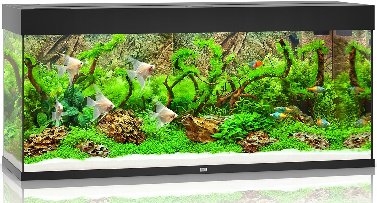 Akvarijní set Juwel Rio Led 240 černé 121x41x55cm 240l