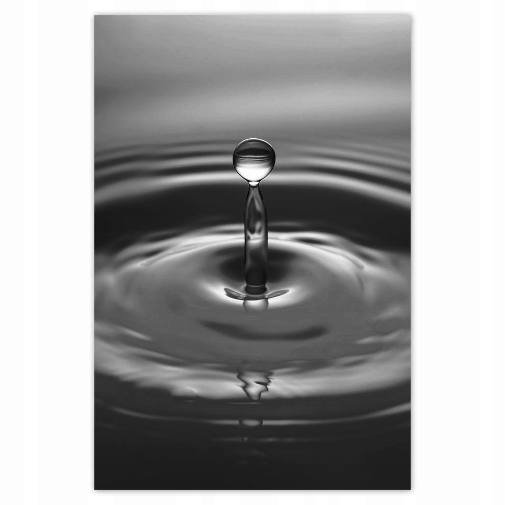 

Plakat 62x93 Kropla prawdy Kropelka