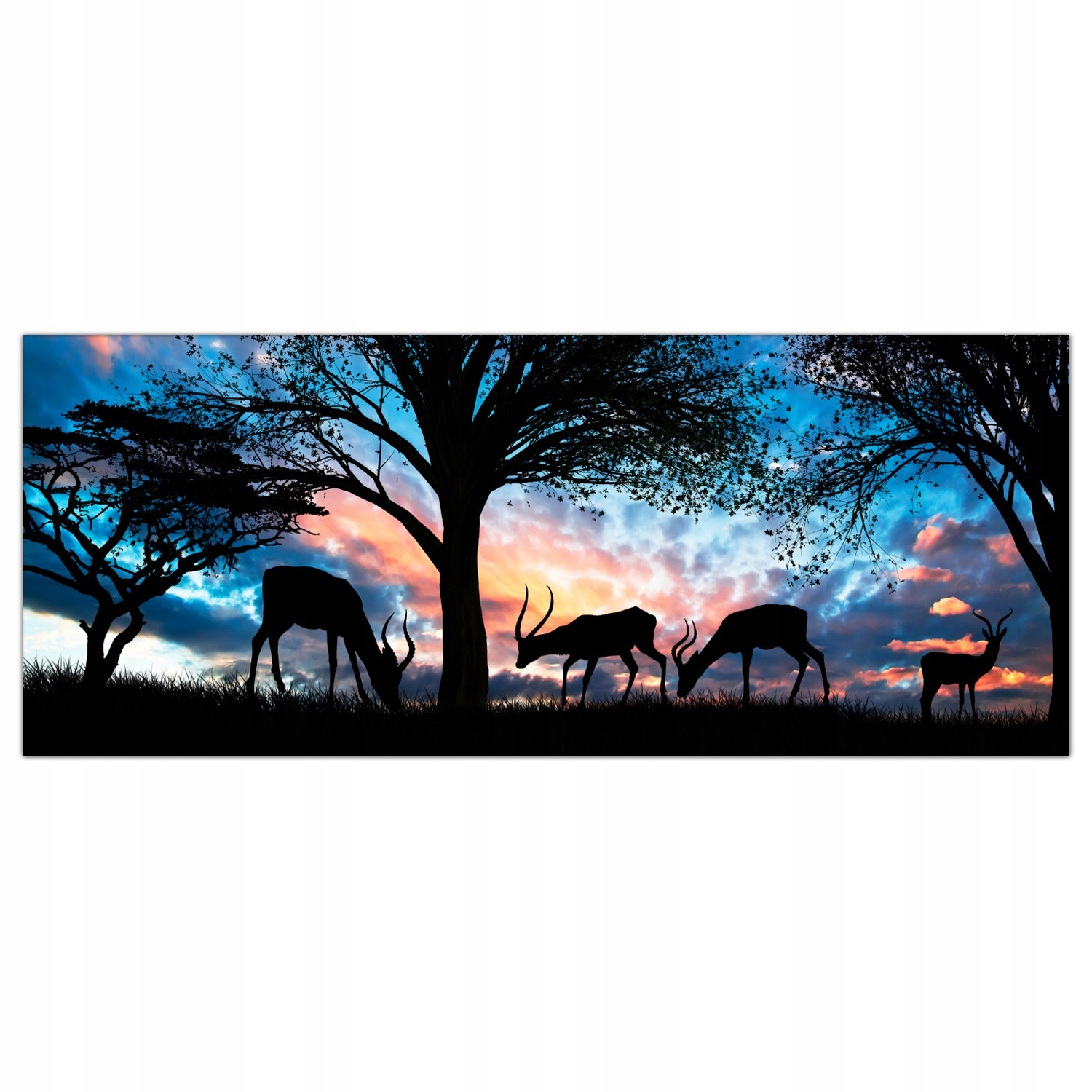 

Obraz na szkle Foto Zwierzęta Safari Natura 125x50