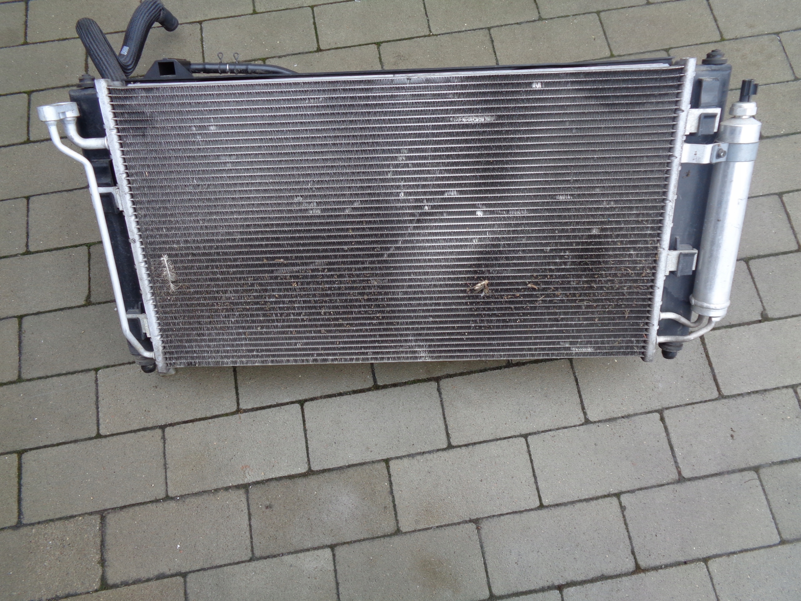 radiatore VENTOLA KOMPLET NISSAN LEAF e ZE0