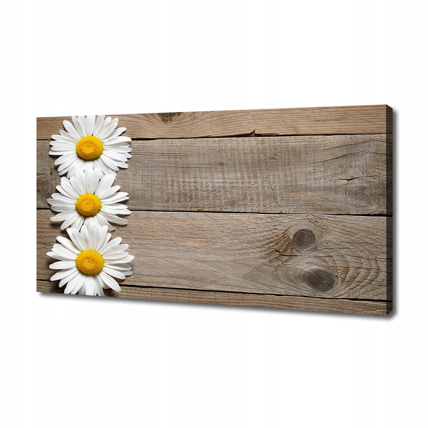 

Foto obraz na płótnie Stokrotki drewno 140x70 cm