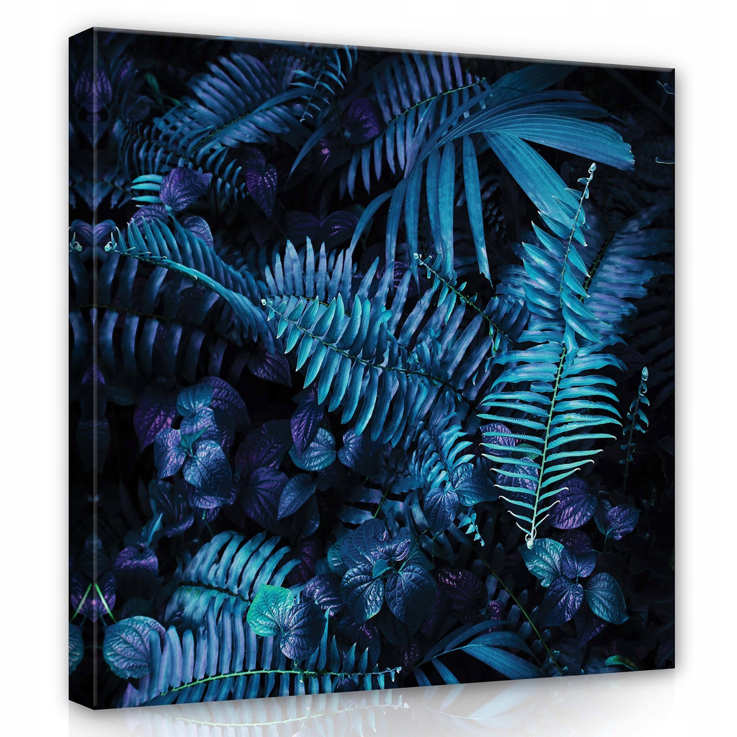 Obraz 80x80 Tropická vegetace kapradina palmové listy tmavý klidný