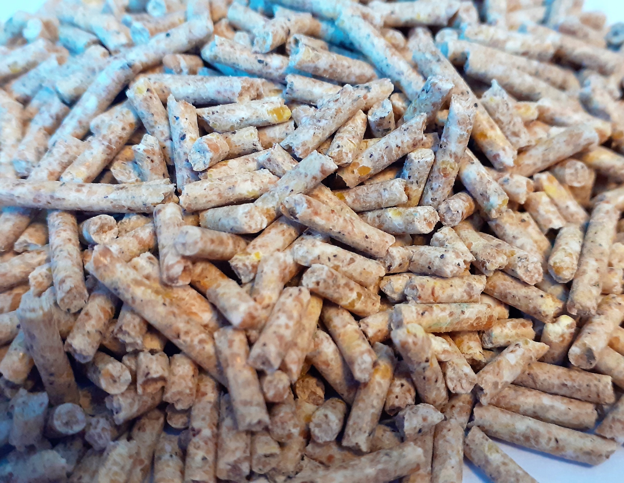 Prestarter dla prosiąt 25kg Marka Rolmix