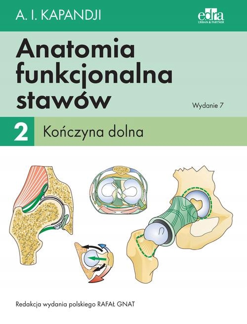 

Anatomia Funkcjonalna Stawów Tom 2 Kończyna Dolna
