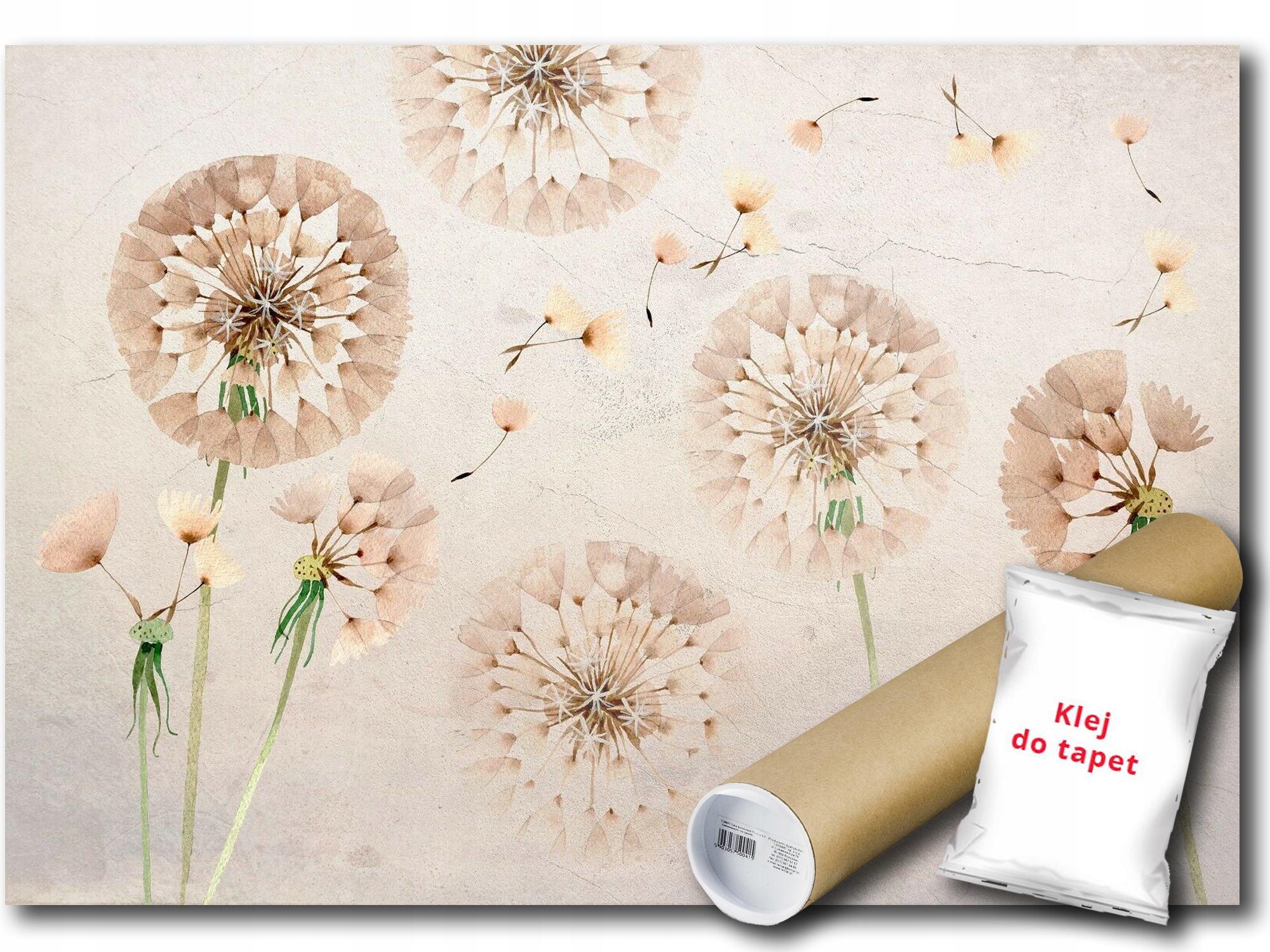 Vinylová Fototapeta Púpava Beton Mur 312x219